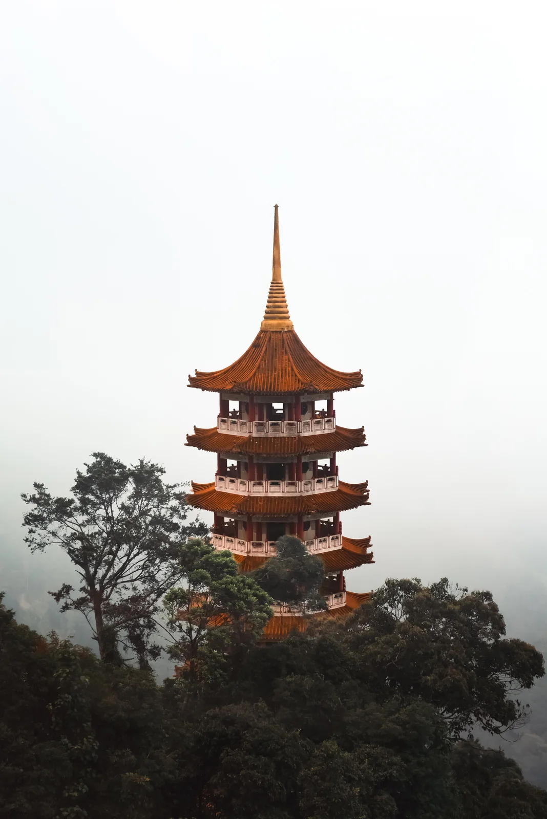 A pagoda temple rising through misty hills