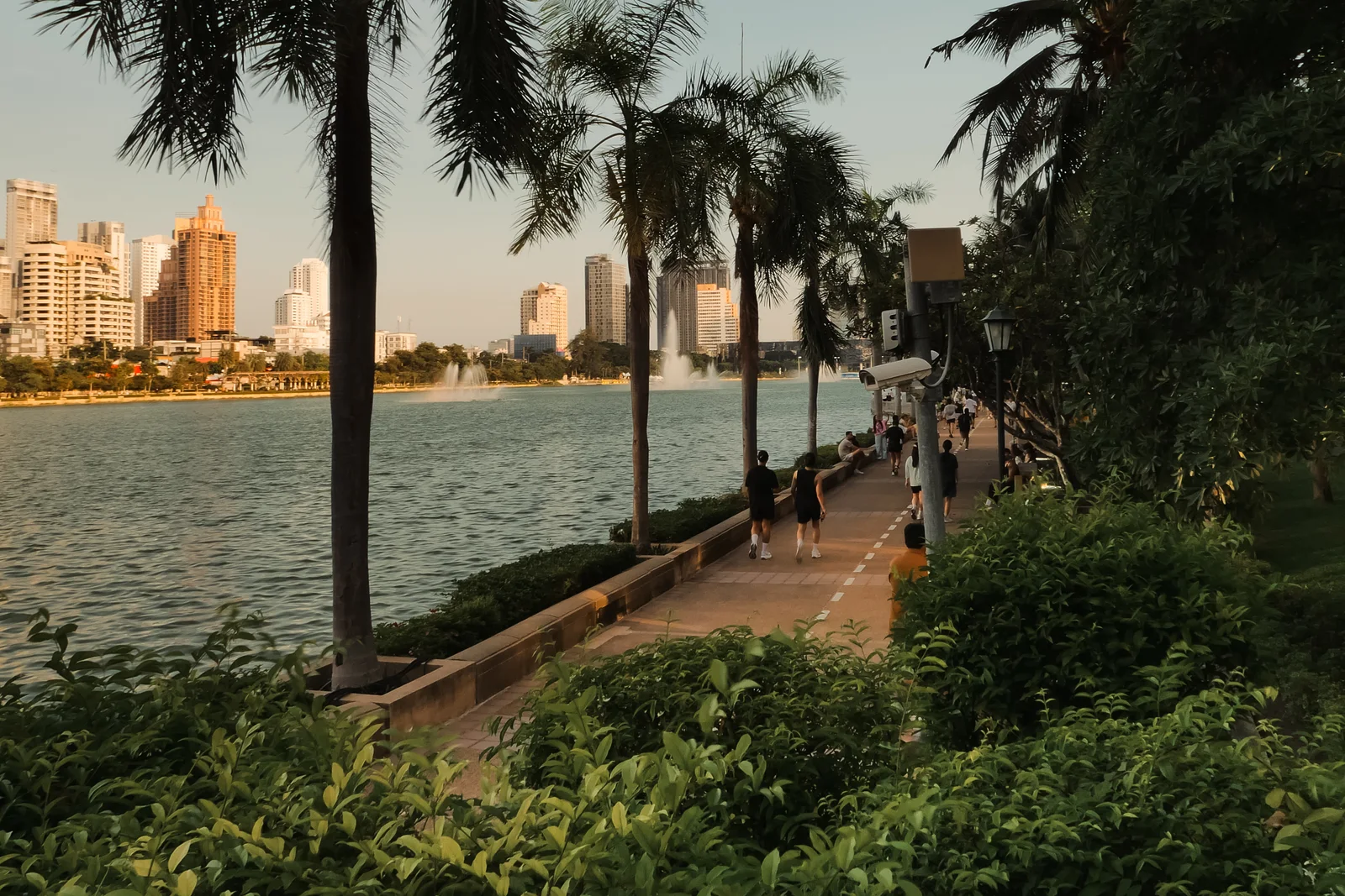 A palm-lined path along the lake
