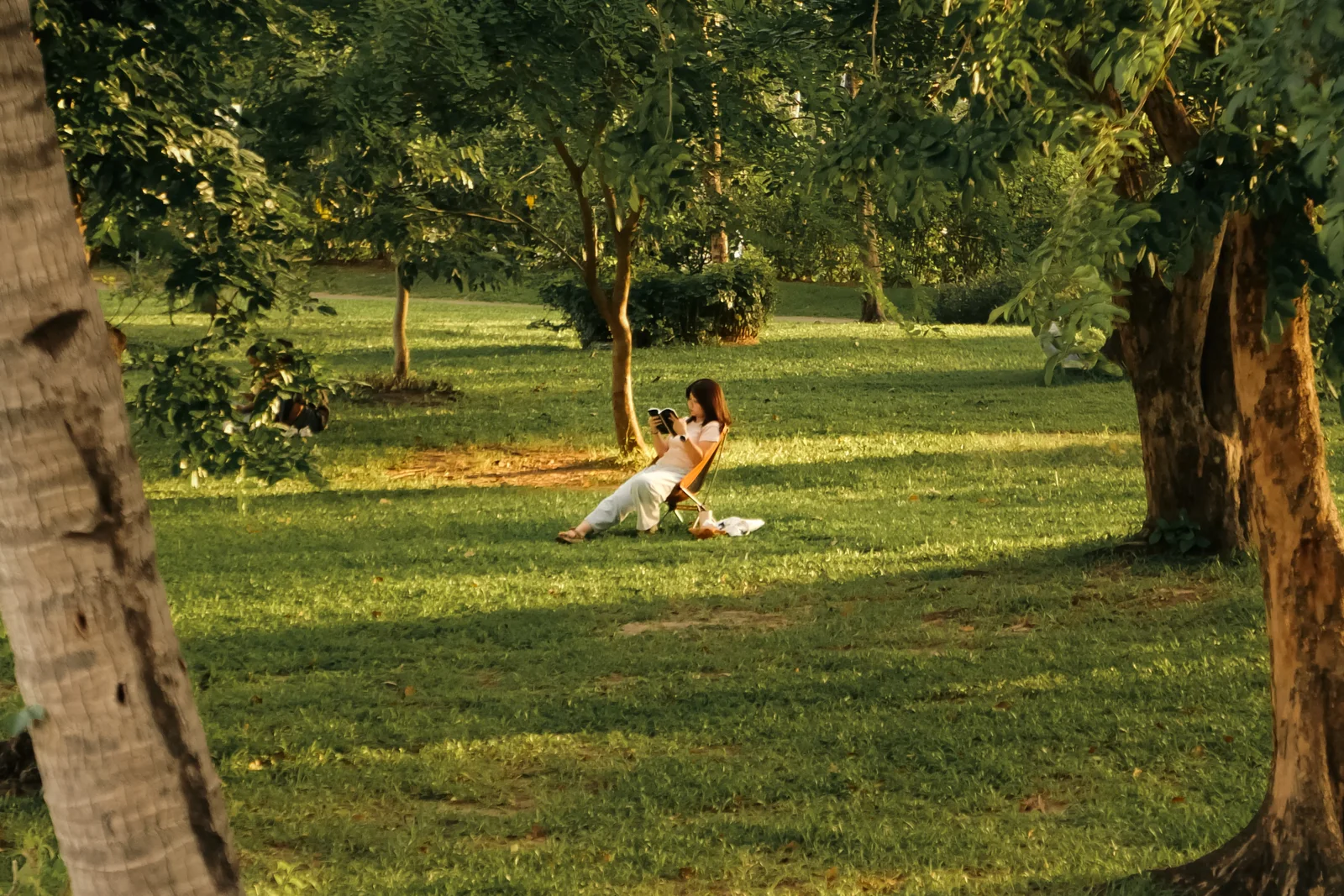 Someone relaxing under a tree in the park